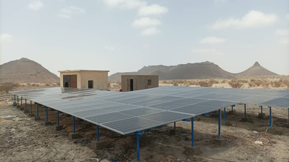 ألواح جينكو وجهين